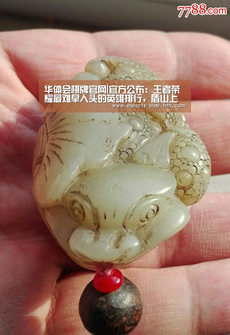 华体会棋牌官网|官方公布：王者荣耀最难拿人头的英雄排行，盾山上榜，榜首竟是一个刺客？(图4)